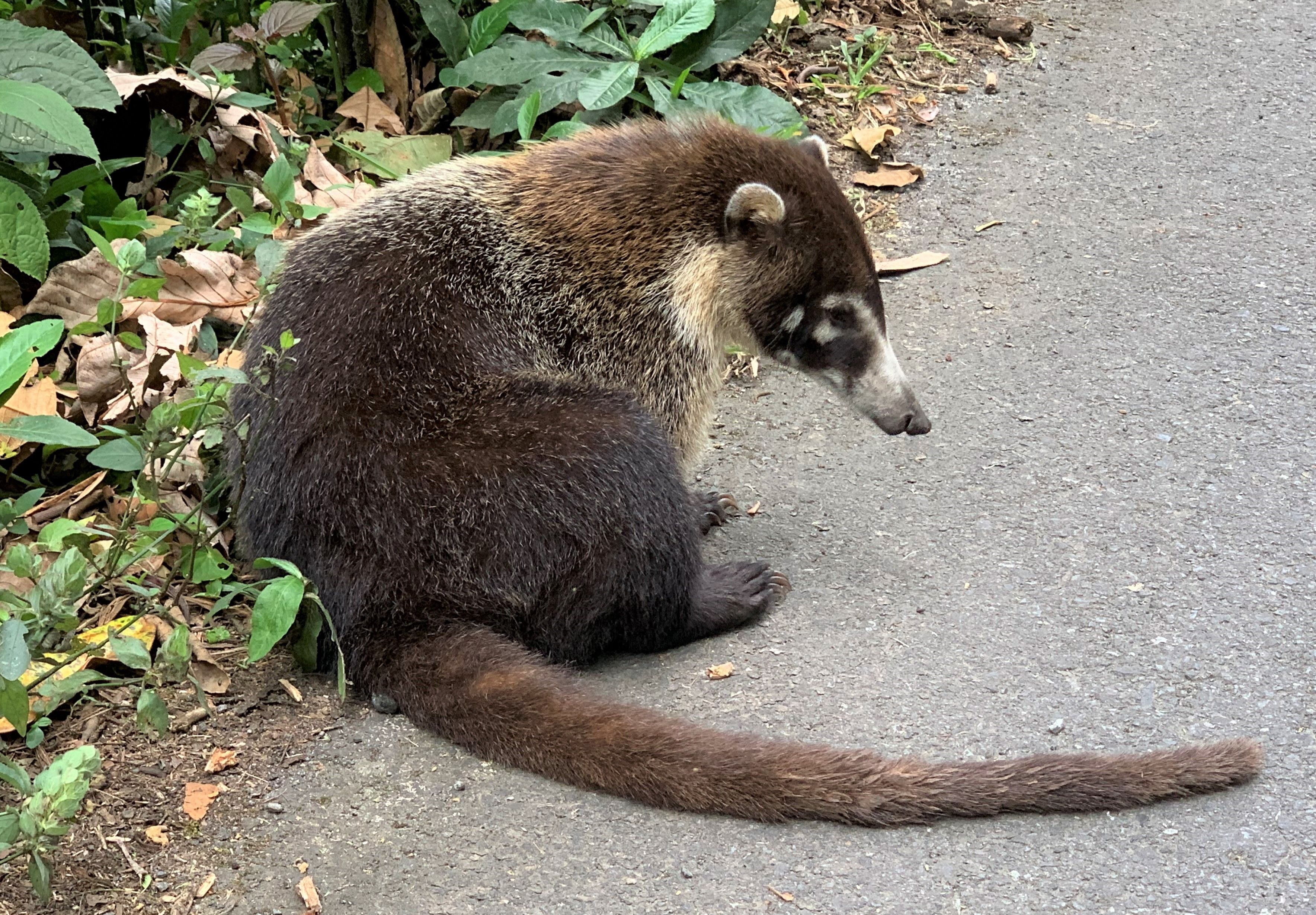 Costa Rica